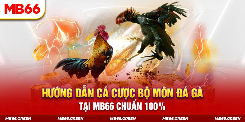 88nn kết quả xổ số miền bắc ngày hôm nay