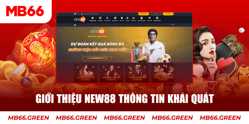 88nn c1 gà chọi