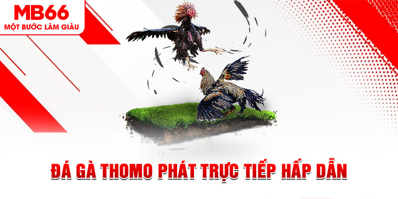 88nn xổ số miền bắc 30 ngày