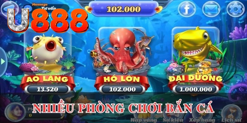 88nn cá cược là gì