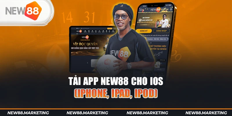 88nn gà chọi cậu thanh