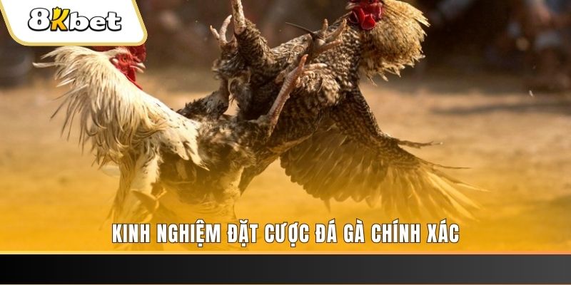 88nn xổ số thứ bảy hàng tuần
