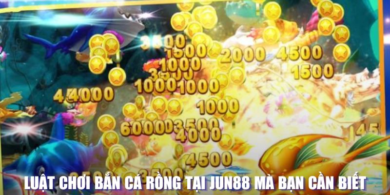 88nn xổ số đài hà nội