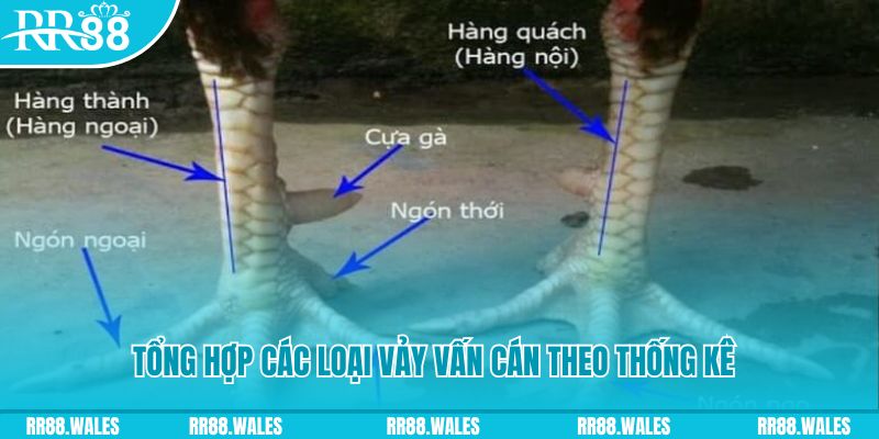 88nn HB Điện Tử