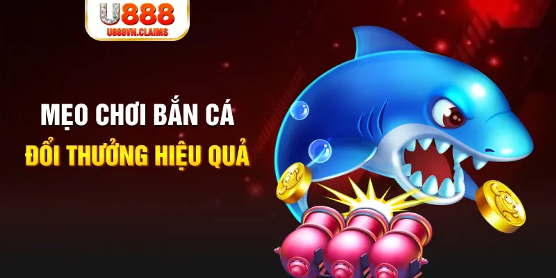 88nn gà chọi cam ranh