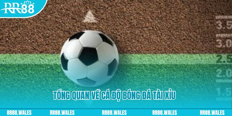 88nn đăng nhập roulette online