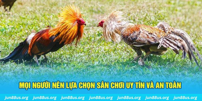 88nn Cỡ bảy