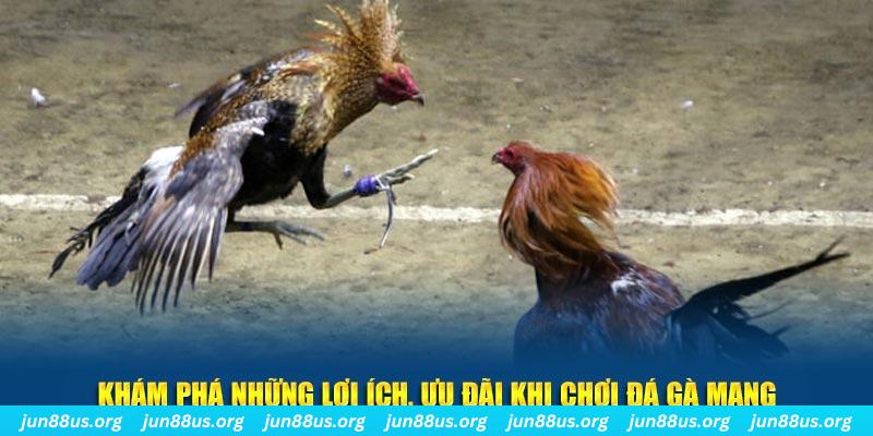88nn đăng nhập liêng live