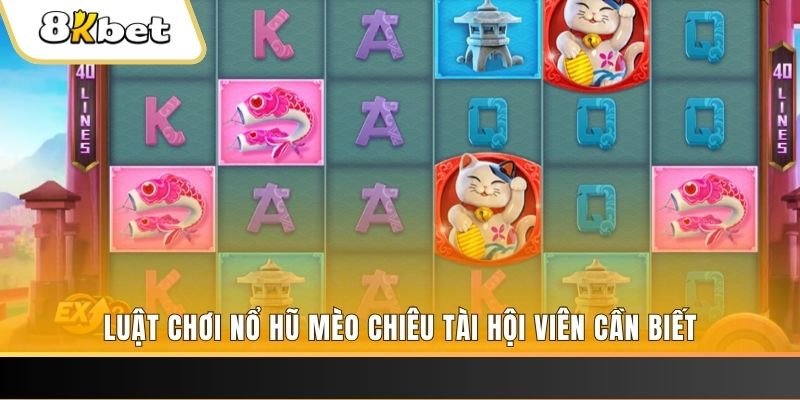 88nn gà chọi cu cần
