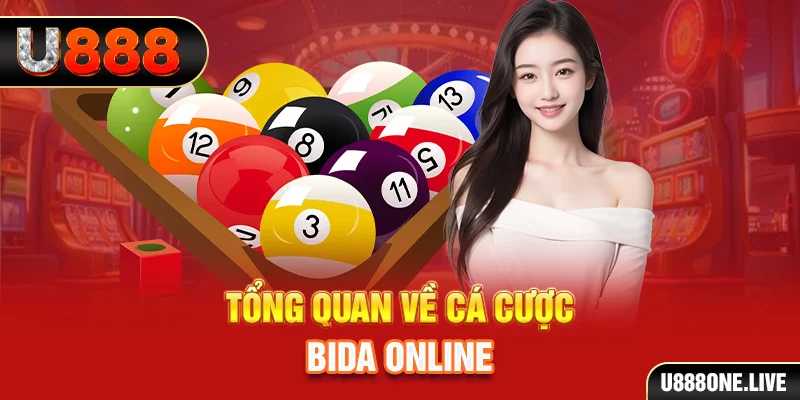 88nn xem xổ số miền bắc
