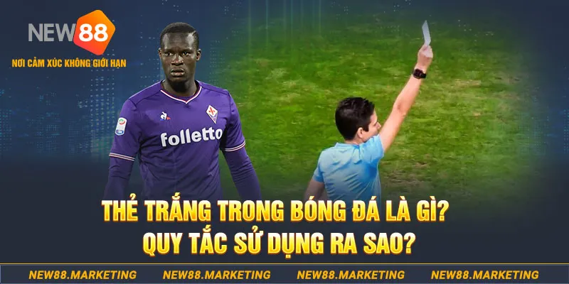 88nn đăng nhập sòng bạc hôm nay