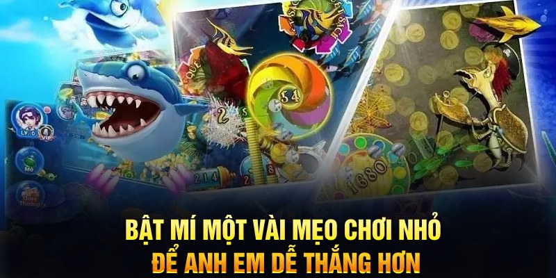 88nn xổ số thứ ba