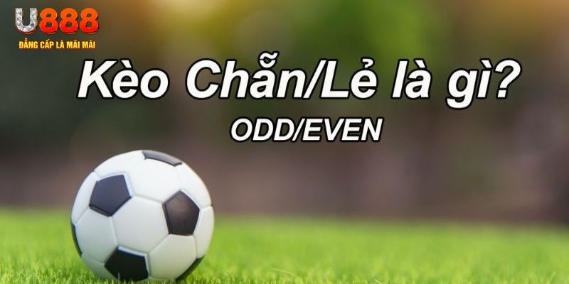 88nn đăng nhập sòng bạc 2024
