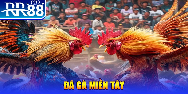 88nn người chia bài trong casino gọi là gì