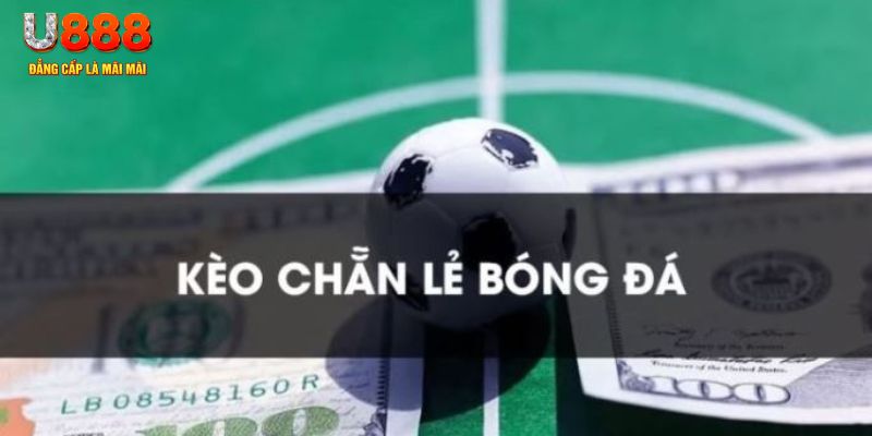 88nn gà chọi c1.tv