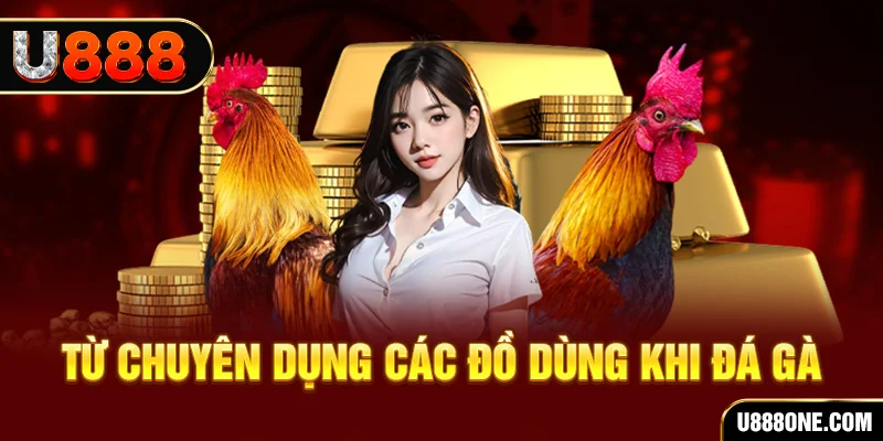 88nn đá gà trực tiếp campuchia